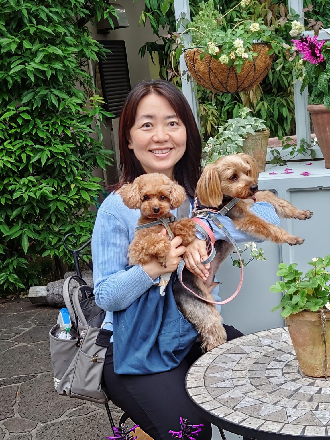 アラフィフ女とシニア犬本物